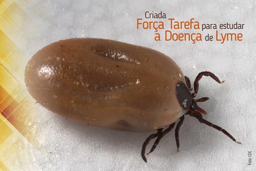 Doença de Lyme