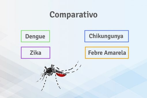 Comparativo Dengue Chikungunya Zika Febre Amarela